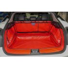 Nissan Ariya vanaf 2022