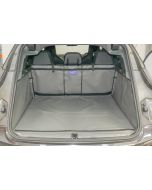 BMW iX vanaf 2021